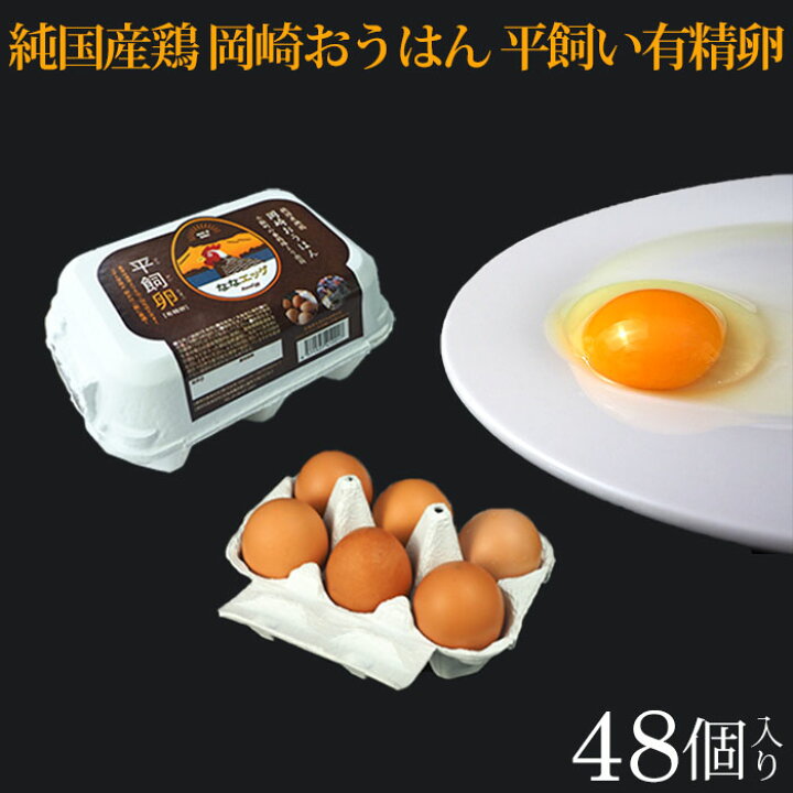 楽天市場 平飼い卵44個 4個保証分 計48個 ななエッグ 北海道七飯町産 送料無料 純国産地鶏 岡崎おうはん 有精卵 たまご 卵 循環型農業 Sdgs サスティナブル Tv放送で話題 北海道美食生活