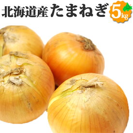 たまねぎ 北海道産 L～2Lサイズ 玉ねぎ 玉葱 野菜 贈り物 北海道 ギフト 秋の味覚 バーベキュー BBQ 農産物