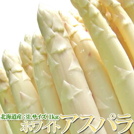 【順次発送開始】ホワイト アスパラ 北海道産 極太3L 1kg ホワイトアスパラガス 白 最高級 春 限定 ギフト 贈答品 お取り寄せ アスパラガス 北海道 野菜 ホワイトアスパラ