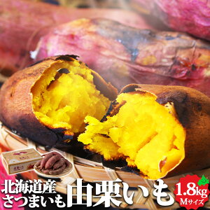 y\̔zÂăzNzNIkCY ܂ RI MTCY 1.8kg Ăp 肢 Ԃ hV̓ Mtg