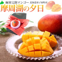 楽天市場】産地直送（マンゴー｜フルーツ・果物）：食品の通販 【宮崎県産】摘果マンゴー 16kg（送料込み）本日(4/20)収穫・明日発送！