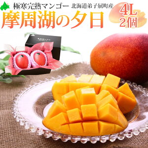 kCYn}S[ ΂̗[ ÂƂ낯k̉ʎ 2L-4LTCYEIׂ Yn Mtg 蕨 Ă̑蕨 Ԃ hV̓ Mtg