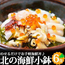北海道 海鮮セット 北の海鮮小鉢 6種セット ごはんに乗せてミニ海鮮丼に！ 甘えび ほたて つぶ いか たこ ほっき 6食 小鉢 海鮮 冷凍 グルメ ギフト 北海道ギフト 食べ比べ くまだ お返しもの お返し物 お中元 ギフト