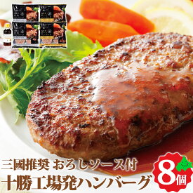 三國推奨 十勝工場発ハンバーグギフトN 2種8個 三國監修おろしソース付 北海道産 合挽 ハンバーグ ギフト セット 贈り物 北海道 冷凍 ニチロ畜産 肉 グルメ お返しもの お返し物 お中元 ギフト
