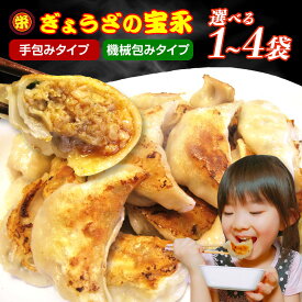 ＼楽天ランキング1位／冷凍餃子 ぎょうざの宝永 ｜手包み餃子 or 機械包み餃子 北海道 手作り餃子 宝永餃子 パリモチジューシー食感