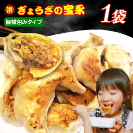 ぎょうざの宝永 肉汁あふれる冷凍餃子 ｜手包み餃子 or 機械包み餃子 北海道 手作り餃子 宝永餃子 生餃子 敬老の日 プレゼント 楽天ランキング1位