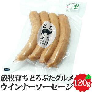 _蔼zN[|zz^ǂԂO EBi[\[Z[W 4{ 120g kC \ Gp\q Aj}EFtFA SDGs Ԃ