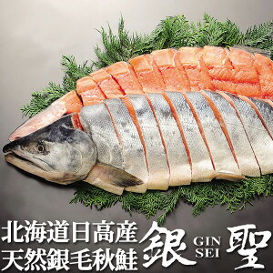 y11{ Εzgۂ̋␹ Vp 2.5kg kCY VRH {(4^pbN) OO i ~Mtg