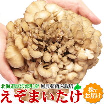 楽天市場】2kg（きのこ｜野菜・きのこ）：食品の通販