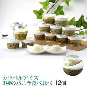 アイスクリームギフト3種類のバニラアイス送料無料お返し内祝いバレンタインバレンタインデー|バニラアイスバニラスイーツお取り寄せスイーツ北海道産ホワイトデーお土産