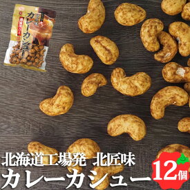 カレーカシュー 95g 北海道 池田食品 カシューナッツ 創作豆 ナッツ 常温 おつまみ 食べきりサイズ 常温 豆菓子 お土産 手土産 ご当地 お菓子 焼きカシューSDGs ポスト投函 楽天スーパーSALE 対象商品