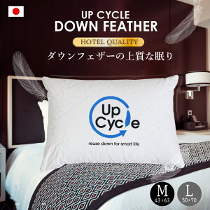 AbvTCN _E  zei  ( M 43×63cm / L 50×70cm )@{ _Es[ tFU[ ܂ ze   H ӂӂ Mtg