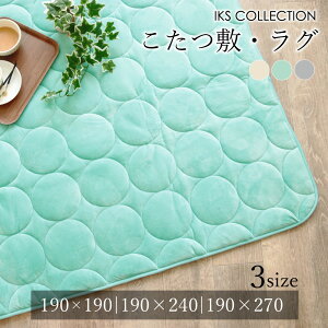 yIZ[z~ O ( 190×190 / 190×240 / 190×270 ) ` ` zbgJ[ybgJo[ g[Ή  N n  }CNt@Co[ x[W AC{[ ~gO