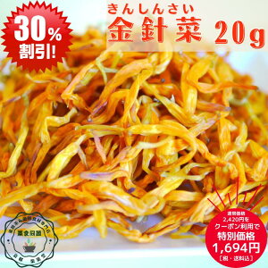 yVC[OXӍ N[|p30It IXX N C j 20g p RY ō   ⌌ SLx  ɂ XIXX  Ɏ_ _ 