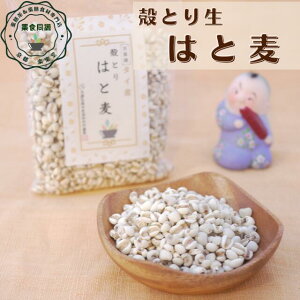 IXX N C kƂ͂Ɣ 600g p ō  ^CY ngM тɍĐ܂ ~JɎx̍ɂ  e JTJT XxXx Ƃ   C