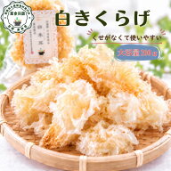 白キクラゲ 白きくらげ 200g 大容量 白木耳 銀耳 乾燥 乾燥きくらげ お試し 無添加 無着色 無硫黄燻蒸 中…