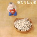 健康 元気 お試し オススメ 1000円ポッキリ 殻とりはと麦 70g 税込 タイ国産 ハトムギ カサカサ スベスベ しっとり肌 美容 水毒 水滞 湿痰 気虚 健脾化湿 清熱解毒 清熱排膿 清熱利湿 清肺熱