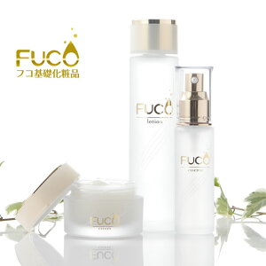 _u45%OFFN[|v11/20()20:00`pI^y1ʊltRbϕi3_ZbgitRϐ+tRet+tRێN[jztRC_ ϕi tRϕi tR vZ^G