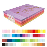画用紙 色画用紙 ニューカラー R（色画用紙） 4ツ切判 100枚 【B】単色 リンテック 選べるカラー