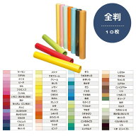 画用紙 色画用紙 フレッシュカラー 全判 10枚【B】単色 大王製紙