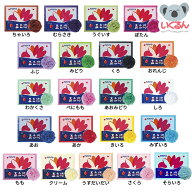 【クーポン配布中！5/9 17:00〜5/18 8:59】おはながみ お花紙 五色鶴 ペーパーポンポン ペーパーフラワー…