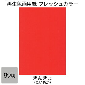 画用紙 色画用紙 フレッシュカラー 八ツ切 10枚 大王製紙 八つ切り きんぎょ