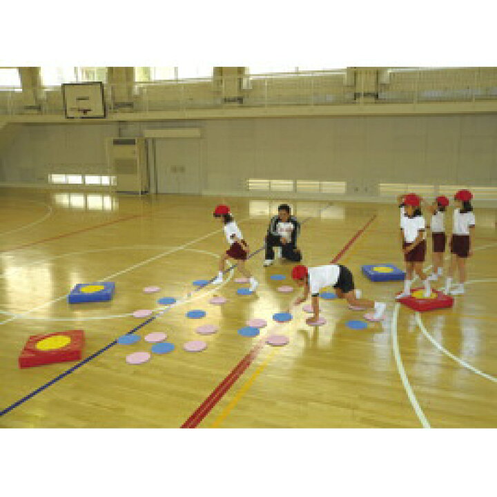 楽天市場】リバーシゲーム 運動会 体育 屋内スポーツリバーシ 
