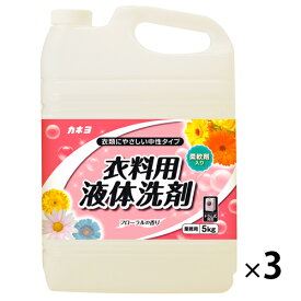 衣料用液体洗剤5（3本） カネヨ石鹸