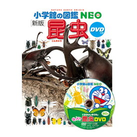 図鑑 小学生 小学館の図鑑NEO [新版］昆虫