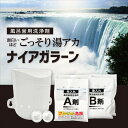 風呂釜洗浄剤 ナイアガラーン2回分セット ピュアソン 一般家庭用 レジェンド松下推奨商品