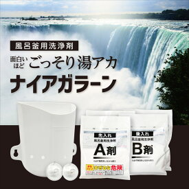 【予約：2/24発送予定】【250円OFFクーポン配布中！2/4 17:00〜2/10 08:59】風呂釜洗浄剤 ナイアガラーン2回分セット ピュアソン 一般家庭用 レジェンド松下推奨商品