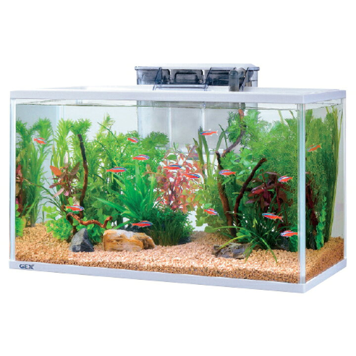 楽天市場】【250円OFFクーポン配布中！4/14 17:00〜4/17 9:59】水槽 