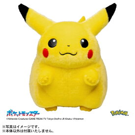 ポケットモンスター ポケモン30周年記念 おかえり!ピカチュウ1/1 タラカトミー TAKARATOMY