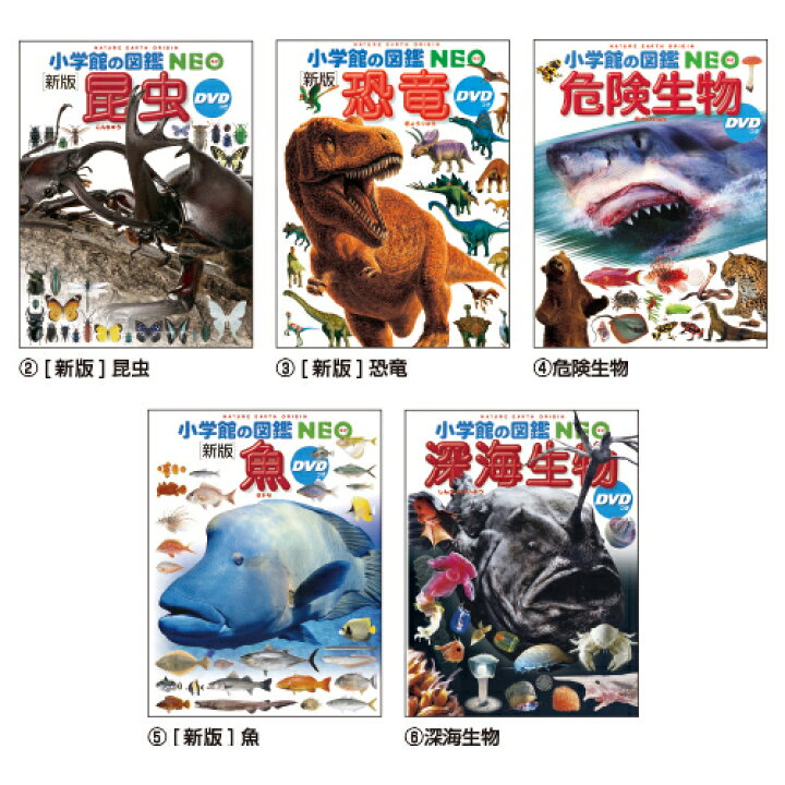楽天市場】図鑑 小学生 小学館の図鑑 小学生NEO （19）[新版]鳥 小学館 