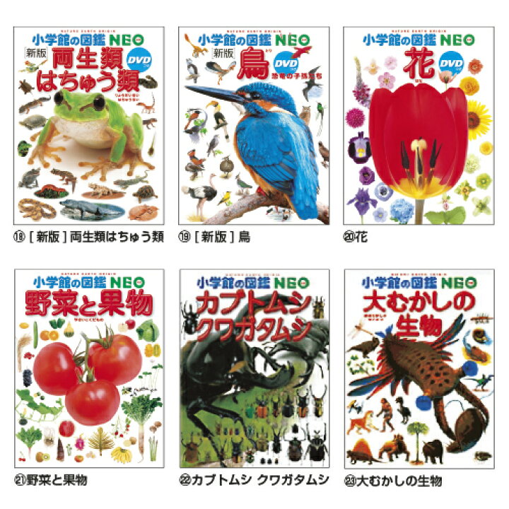 楽天市場】図鑑 小学生 小学館の図鑑 小学生NEO （19）[新版]鳥 小学館 