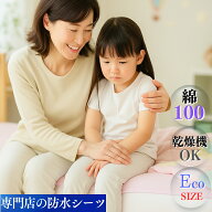 【P5倍&最大13％OFFクーポン15日まで】防水シーツ エコ サイズ 1枚 時短 乾燥機 洗濯 OK 介護 部分 タイ…