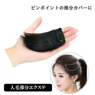 人毛エクステ ストレート 部分ウィッグ エク人毛エクステ ミニサイズ ピンポイント 部分ウィッグ エクス…