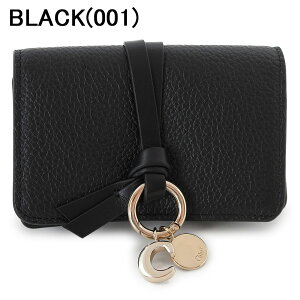 NG J[hP[X fB[X ALPHABET At@xbg h J[hz_[ U[ Chloe CHC21WP015F57