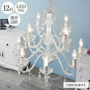 VfA12 NA NL-8612CL V[OCg VF[h y_gCg VƖ Mdt LEDdΉ [ 10 12  킢 AeB[N S[WX Pn v