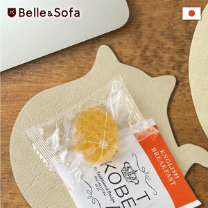 R[X^[ L ˂ lR Aj}  Mtg 蕨 ΍ { COAST-CAT2