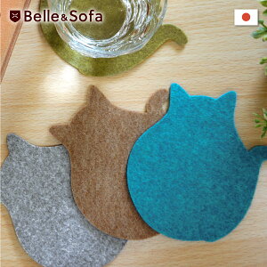 tFgR[X^[ L ˂ lR Aj}  Mtg 蕨 ΍ { COAST-CAT