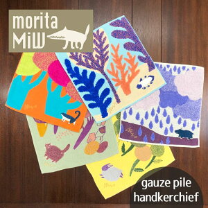   nJ` K[[ pCn Xc~E morita Miw K[[nJ` ^InJ`  ^I 틴D Y fB[X  Rbg 100%  Aj} v[g Mtg