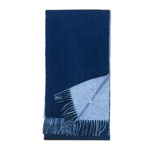   JV~100 ~j}t[ 163cm×20cm[[5.5cm×2܂] H~ g rWlX NX}X v[g Mtg