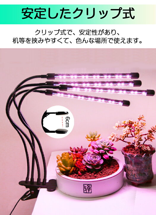 楽天市場】【P10倍】植物育成ライト LED 育成ライト 観葉植物 ライト 