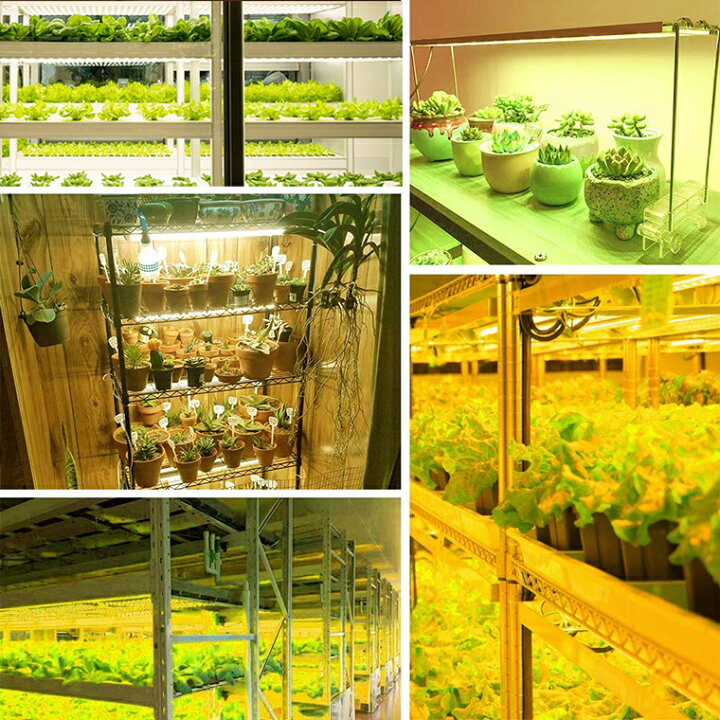 市場 植物育成ライト タイマー 多肉植物 室内栽培ライト トフルスペクトル スタンド おしゃれ Led 植物育成led 観葉植物育成ライト 多肉植物育成 市場 植物育成ライト タイマー 多肉植物 室内栽培ライト トフルスペクトル スタンド おしゃれ Led 植物育成led 観葉植物育成ライト 多肉植物育成