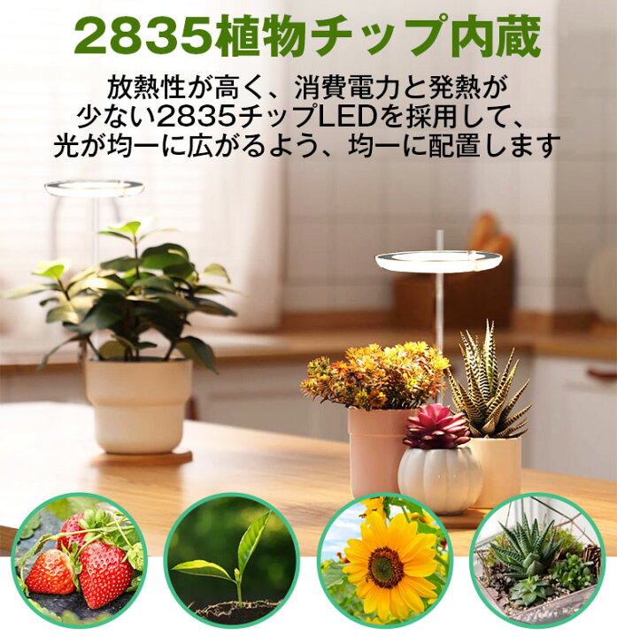 楽天市場】植物育成ライト LED タイマー 植物育成LED 観葉植物 