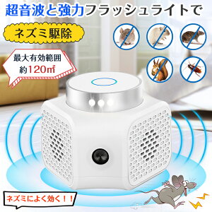 ˂݋쏜 g lY~ ފ Pފ ˂ 쏜 g lY~ގ lY~쏜 ˂ݏ@ lY~΍ ˂ݑގ y glY~쏜  l ˂ ǂo 뉀 