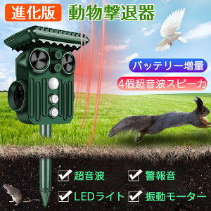 L悯 g \[[  ފ ފ 悯  g L悯ObY L lR悯 ˂悯 L悯 ZT[  ˂݋쏜 Qb \[[[d usb[d 5[h L