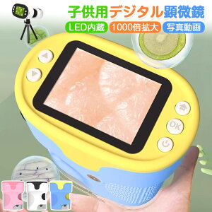 _20%OFFN[|^fW^ nfB[ qp  q  1000 { w A ώ@ OT Tv6{ LED wY[ 2.0C`IPS fW^Y[ 掿 ȒP 