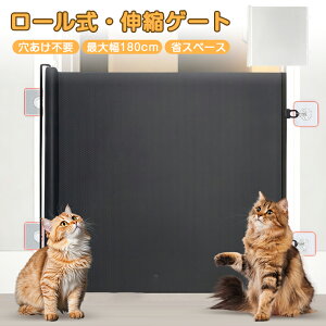 yHsvEtȒPzybgQ[g [ xr[Q[g Q[g [ sv e[v Ki Lb` ȃXy[X Ki Lk ܂肽   Ȃ [^C